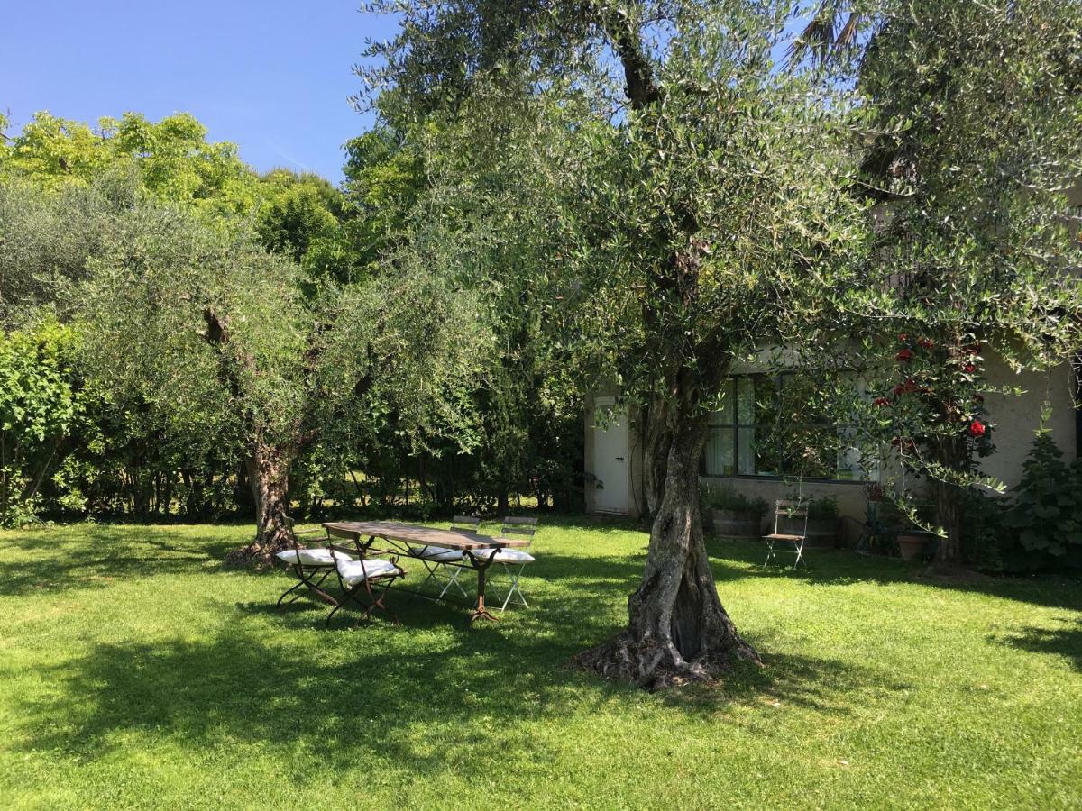 סן פליס דל בנאקו Agriturismo Le Chiusure מראה חיצוני תמונה